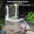 thumbnail image 4 of pitrice Reptile Habitat With Hanging Sun Platform For Turtles Turtle Pools For Turtles And Amphibians S, 4 of 6