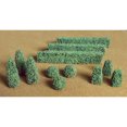 thumbnail image 1 of Plantes de Buis.5" à 1.5" 15/Pkg-, 1 of 1