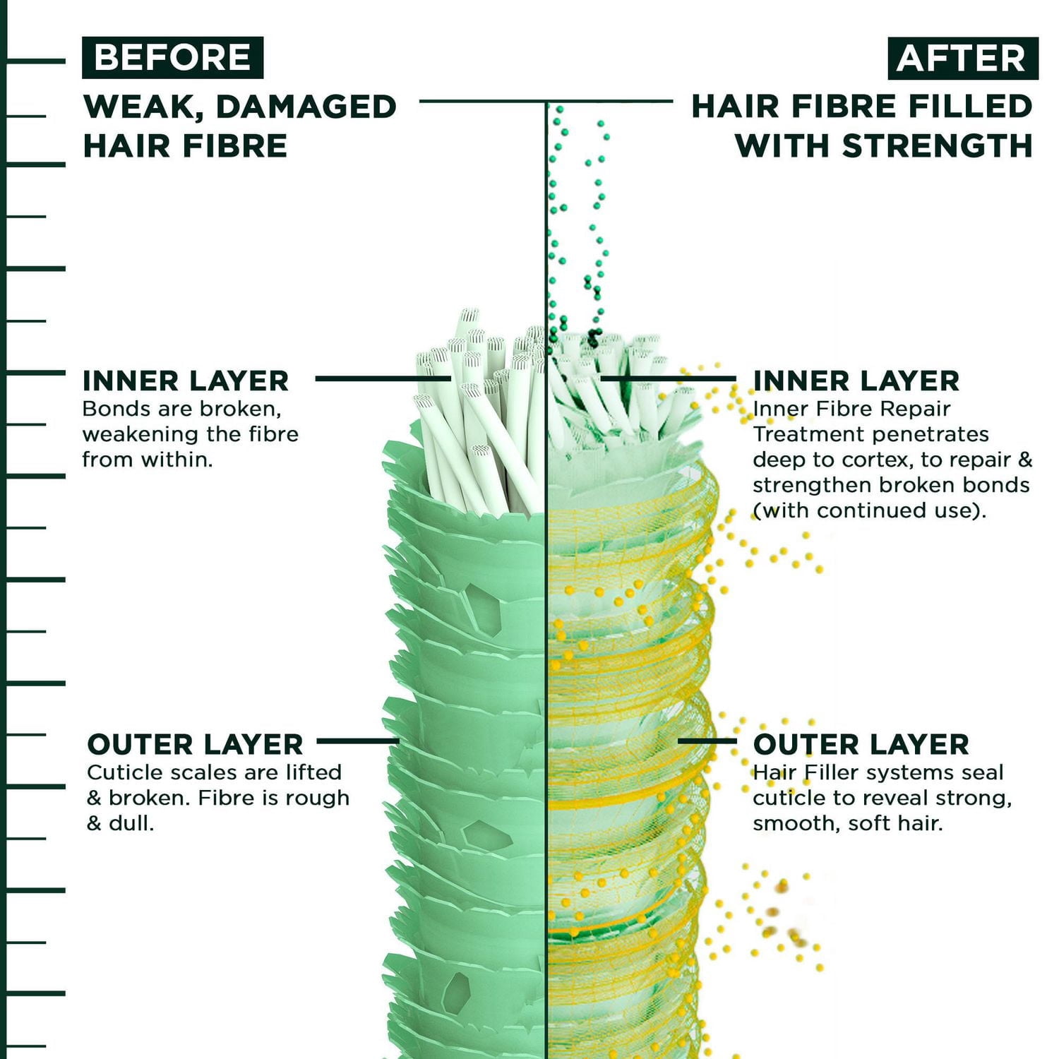 Garnier Fructis Hair Filler + Vitamine C Shampooing Réparateur Fortifiant Sans Sulfates, pour Cheveux Faibles et Abîmés, jusqu'à la Casse & 79 % de Force en Plus