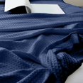 thumbnail image 5 of TopLLC Blanket,Throw Blanket,Fall Blanket Fiber Blanket Thickened Solid Color Sofa Blanket Conditioning Blanket Nap Blanket 43.3 X 51.18 Inches Blanket Blanket, 5 of 5