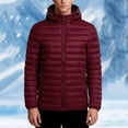 thumbnail image 2 of hoksml Men's Detachable Hood Puffer Jacket with Slash Pockets Solid Color Zip-Front Quilted Coat for Winter Warmth, 2 of 4