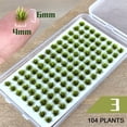 thumbnail image 2 of Thinsony Artificial Grass Versatile And Eco-Friendly Indoor Or Outdoor Applications No.3 1Set, 2 of 6