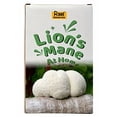 thumbnail image 2 of Lion's Mane Grow Kit (one kit), 3.2 Pound Log, 2 of 4