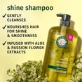 thumbnail image 3 of Herbal Essences Shine Collection Shampoo, 1L, 3 of 17