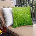 thumbnail image 1 of Ahgly Company Plants Grass Outdoor Throw Pillow, 18 inch by 18 inch, 1 of 6