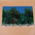 thumbnail image 3 of Background Sticker Adhesive Wallpaper Decorative Pictures Underwater Backdrop Decor for Aquarium Fish Tank (42x30cm G Style), 3 of 7