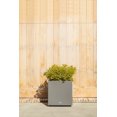 thumbnail image 3 of Veradek Block Series Jardinière Cube Petite en Plastique - Gris, 3 of 12