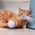thumbnail image 4 of Summer Savings Dianli WEIMIN Ball with LED Light Interactive Toy Feather, Electric Toy Ball, Rechargeable USB Clearance Items, 4 of 5