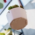 thumbnail image 4 of 3Pcs Nordic Hanging Basket Plant Holder Flower Pot Flowerpot Rope Flower Nursery Planter Utensils Plants Basins Lifting Rope White Gray Blue, 4 of 9