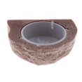 thumbnail image 4 of lionlar Mini Gecko Feeder Corniche Reptile Terrarium Décor. Bol d'Alimentation Brun, 4 of 9
