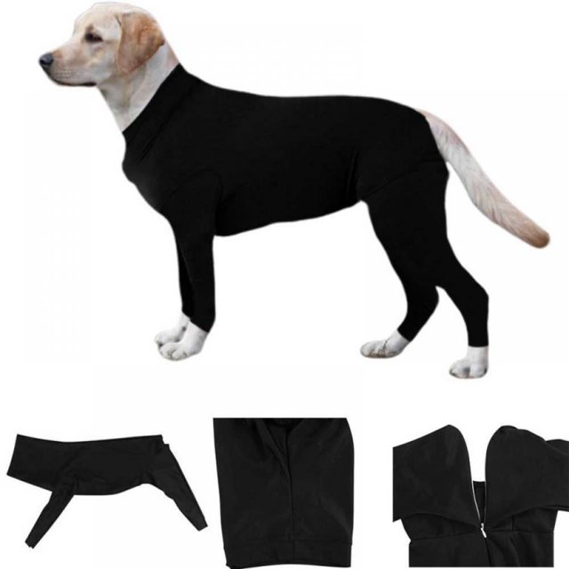 Combinaison de Récupération Post-Chirurgicale pour Chiens Manches Longues Combinaison pour Récupération Chirurgicale et Nettoyage des Poils d'Animaux