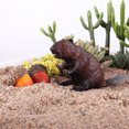 thumbnail image 4 of MasteelfCA Simulation Beaver Figure Realistic Fun Toys Plastic Beaver Animal Model Party Favors for Kids (Brown), 4 of 7