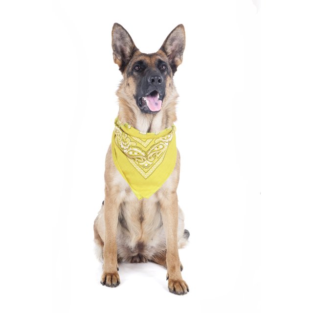 2 Pack Paisley Polyester Pets Dogs Bandana Triangle Shape - Oversized (Yellow)