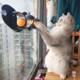 thumbnail image 1 of Labymos EZ Mount Track n' Roll Jouet Interactif pour Chat 23 Pouces Se Monte sur Windows, 1 of 8