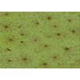 thumbnail image 1 of Ahgly Company Tapis Rectangulaire Lavable en Machine Intérieur Transitionnel Vert Pistache, 2 Pieds x 5 Pieds, 1 of 7