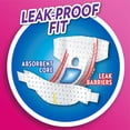 thumbnail image 4 of OUT! Medium/Large Comfort-Dri Disposable Dog Diapers, 4 of 7