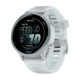Garmin Forerunner 255 Music - 46 mm - whitestone - sport watch