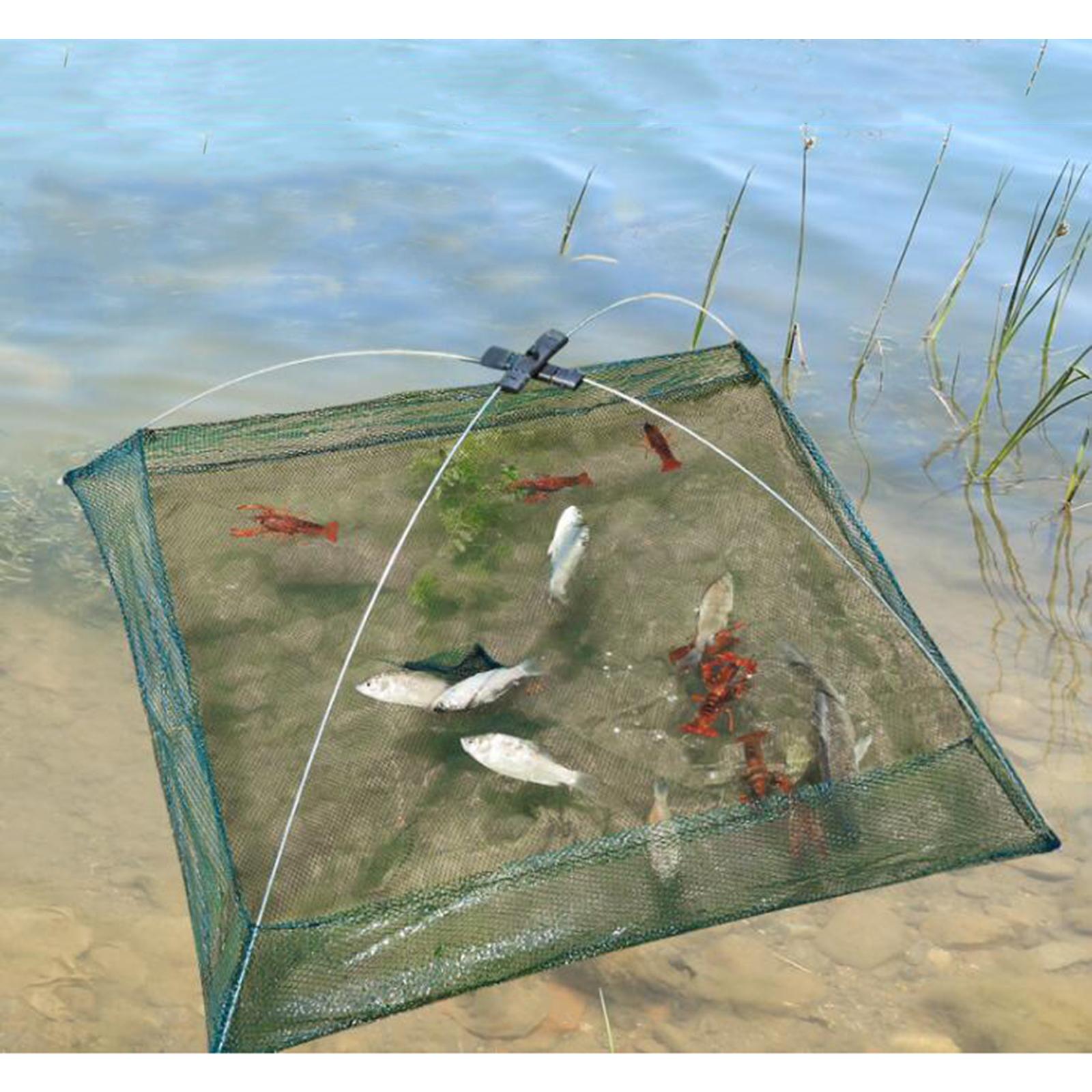 Portable Prawn Net Drop Landing Fishing Pond 24" Folding Fishes Net Perfect for Keeping Fishes Minnows