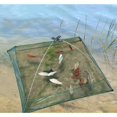 thumbnail image 1 of Portable Prawn Net Drop Landing Fishing Pond 24" Folding Fishes Net Perfect for Keeping Fishes Minnows, 1 of 10