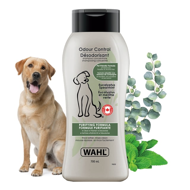 Wahl 58321 Odour Control Plant Derived, Paraben & Silicone Free, Eucalyptus Spearmint Dog Shampoo, 700ml bottle with black flip cap, featuring purifying formula label and eucalyptus and spearmint leaves beside it, positioned next to a sitting golden retriever dog, suitable for deep cleansing and deodorizing dog coats with gentle plant-based ingredients.