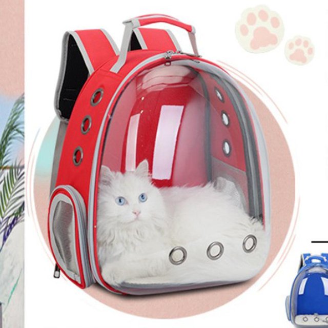 Porte-sac à Dos Imperméable pour Chat en Rouge avec Fenêtre Transparente de Style Bulle et Conception Ventilée. Comprend un Matériau en Tissu oxford durable, des Sangles Rembourrées Ajustables et des Poches Latérales en Maille. Convient pour Transporter des Chats, de Petits Chiens, des Lapins et d'Autres Petits Animaux. Idéal pour les Activités de Plein Air comme la Randonnée, le camping et les Voyages. Dimensions : 33x27x44cm (12.9x10.6x17.3 Pouces).