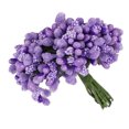 thumbnail image 3 of facefd Plastic Flower Heads Handmade DIY artificial Simulation Bouquet Stamen for Wedding Gift Decoration 12Pcs Type 14, 3 of 4