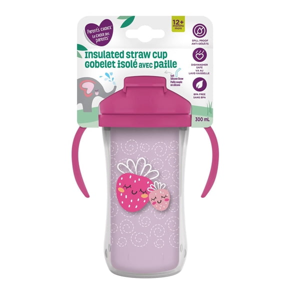 Parent’s Choice Insulated Sippy Cup with Straw and Handles, 300 ml, 12 months+