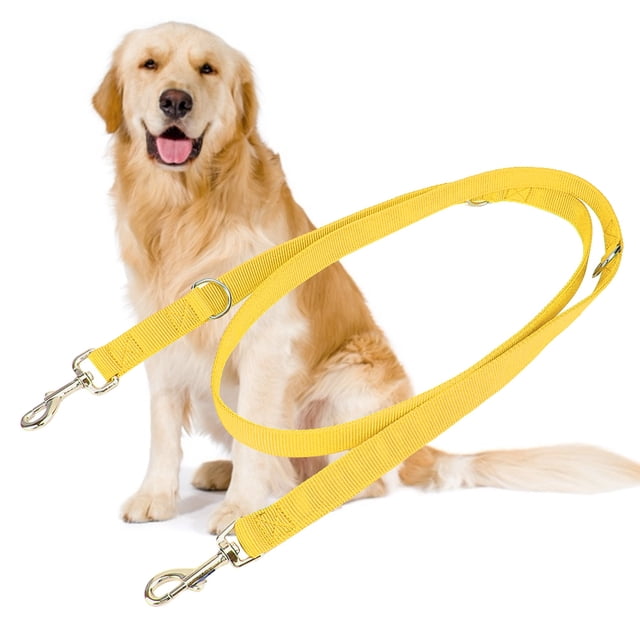 2m Double Buckle Nylon Flexible Pet Dog Walking Leash Traction Rope with Chain(Yellow 2.5cm*200cm)