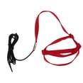 thumbnail image 3 of Bird Leash, Bird Flying Rope Bite  Lightweight  For Attending Party For Walking, 3 of 8