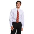 thumbnail image 2 of Accessoire de Costume pour Adulte de Luxe Harry Potter sous Licence avec Cravate et Écusson de Gryffondor, 2 of 3