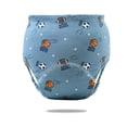 thumbnail image 1 of Girls Training Underwear Leakproof Kids Undies Soft Breathable Comfortable Absorbent Washable Durable Stretchable, 1 of 2