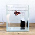 thumbnail image 3 of Filtre Pneumatique Silencieux Mini pour Eau pour Bol à Poissons Aquarium, 3 of 8
