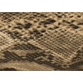 thumbnail image 1 of Ahgly Tapis Rectangulaire Lavable en Machine Intérieur Transitionnel Marron, 5 Pieds x 7 Pieds, 1 of 7