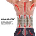 thumbnail image 2 of Dr.HO Lightweight Back Decompression Belt Spinal Brace Lumbar Support, Beige, 2 of 8