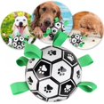 thumbnail image 1 of AMERTEER Dog Soccer Ball, 1 of 9