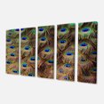 thumbnail image 2 of Peacock Bird Tail Feathers in Close Up - Animal Canvas Art Print, 2 of 3