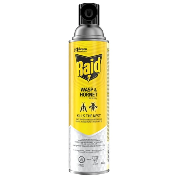 Raid Wasp and Hornet Insect Killer Spray, for Outdoor Use, 400g