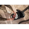 thumbnail image 2 of Miele HyClean Air CO Vacuum Cleaner Bags for Miele Guard M1 Vacuum Cleaners, XL Pack of 8 Vacuum Bags and 2 AirClean Exhaust Filters – 12909630, 2 of 5