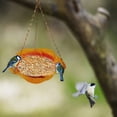 thumbnail image 5 of Hanging Bird Feeder,Bird Feeders for Outside Hanging Hanging Bird Feeder Bird Feeder Hanging for Garden Yard Outside Hanging Bird Feeder Tray - Metal Mesh Platform Feeders for Birds, 5 of 5