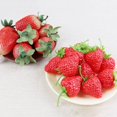 thumbnail image 3 of Coofit Artificial Fruit Decorative Mini 40PCS Plastic Fake Strawberry Photo Prop, 3 of 10
