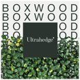 thumbnail image 4 of UltraHedge Small Boxwood Artificial Hedge 20" x 20" Panel, 4 of 5