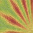 thumbnail image 1 of Ahgly Company Tapis d'Intérieur Lavable en Machine Carré Vert, 6 Pieds Carré, 1 of 7