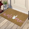 thumbnail image 3 of Summer Doormat Door Mats Outdoor Welcome Doormats, with Non-slip Backing Rugs, Floor Carpet for Kitchen mats, Front Back Doors, Pets and Dogs, Home Indoor Outdoor Decorations, 3 of 3