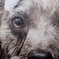 thumbnail image 2 of MODA Dog Bath Shower Curtain, 2 of 2