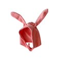 thumbnail image 1 of EYIIYE Kids Girls Boys Solid Color Fleece Hat Bunny Ear Hat Button Closure Rabbit Hat Cute Soft Warm Winter Cap, 1 of 3