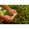 thumbnail image 3 of Miracle-Gro® Pointes pour Nourriture de Plantes d'Arbres et d'Arbustes 15-5-10, 3 of 5