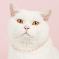 thumbnail image 1 of CBFFDC Ruffled Edge Pet Collar Sweet Lace Princess Style Pet Collar Faux Pearl Ethnic Embroidery Ruffled Design Breathable Grooming Tool, 1 of 6