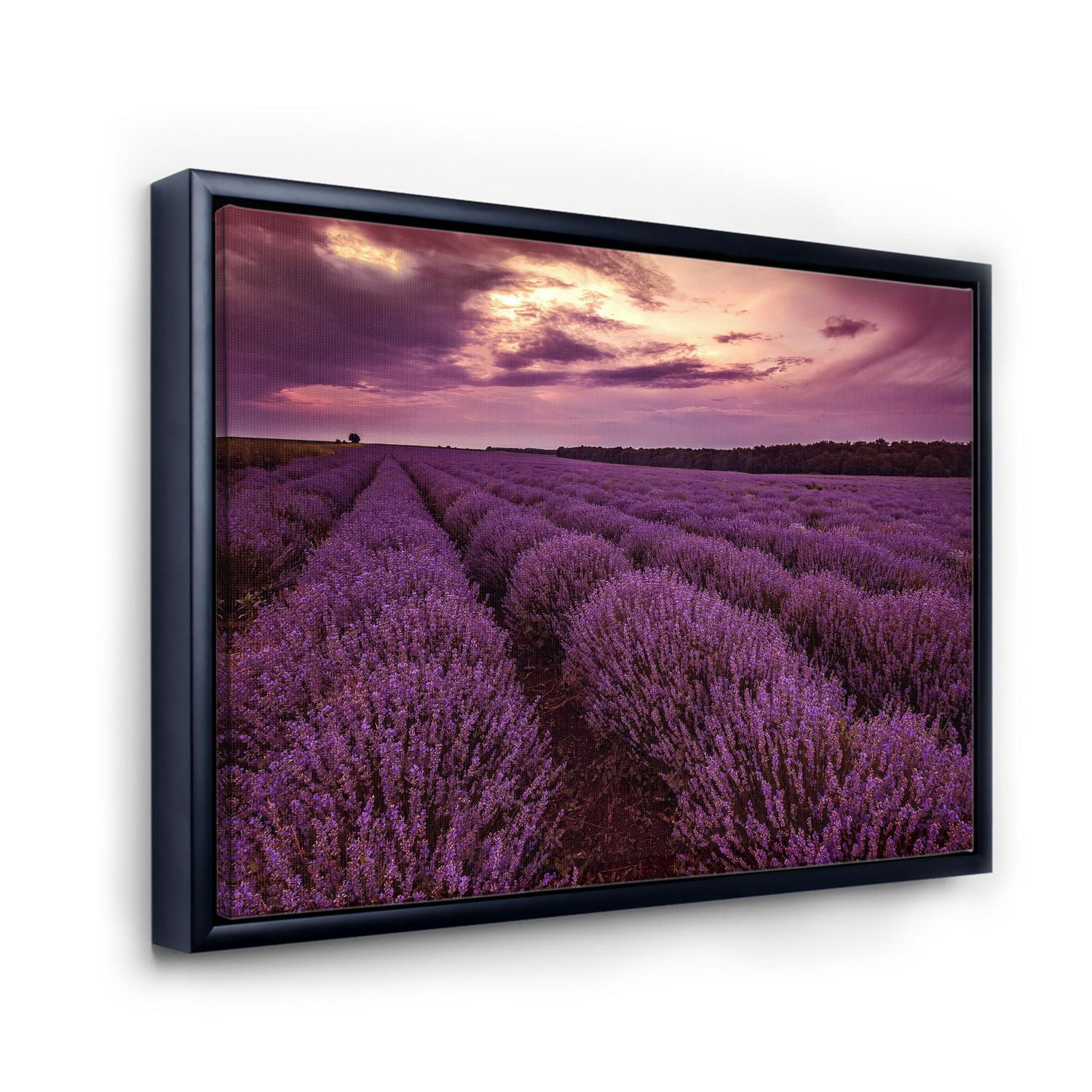 Designart Sunrise & Dramatic Clouds Over Lavender Field III FLOAT FRAME WALL ART