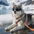 thumbnail image 4 of Lunettes de Soleil pour Chats avec Sangles Réglables & Lunettes de Soleil Adaptées aux Chats pour Conduite/activités Extérieures, 4 of 7
