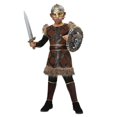 thumbnail image 3 of Fighting Viking Boys Costume, 3 of 3